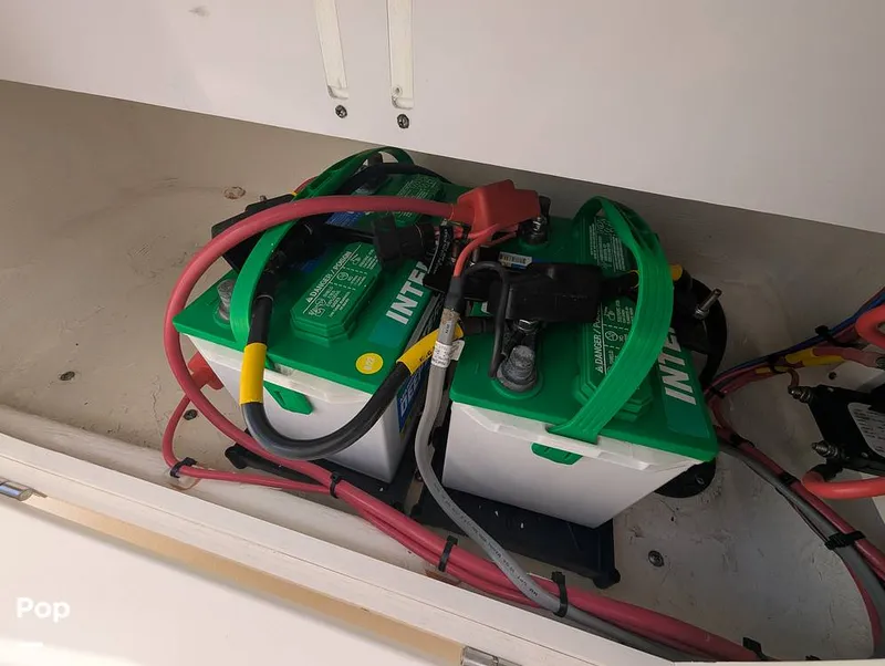 Slide: The Image of Cobia 237 2023 - 16347438