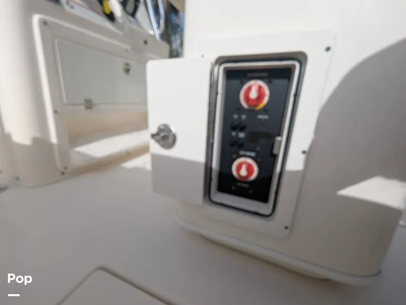 Slide: The Image of Cobia 237 2023 - 16347440