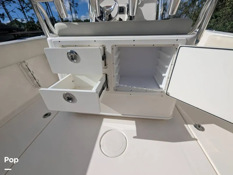 Slide: The Image of Cobia 237 2023 - 16347441