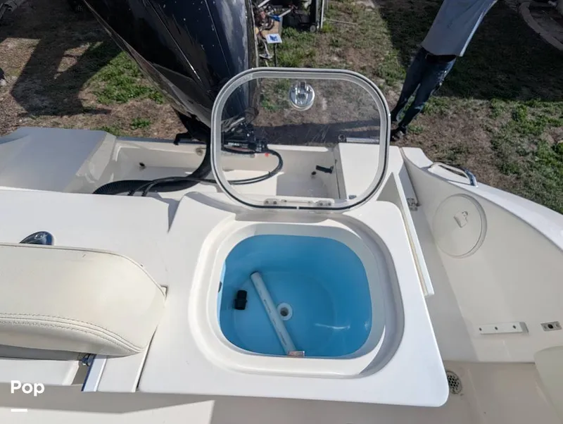 Slide: The Image of Cobia 237 2023 - 16347443