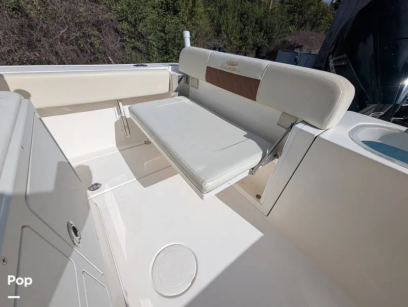 Slide: The Image of Cobia 237 2023 - 16347445