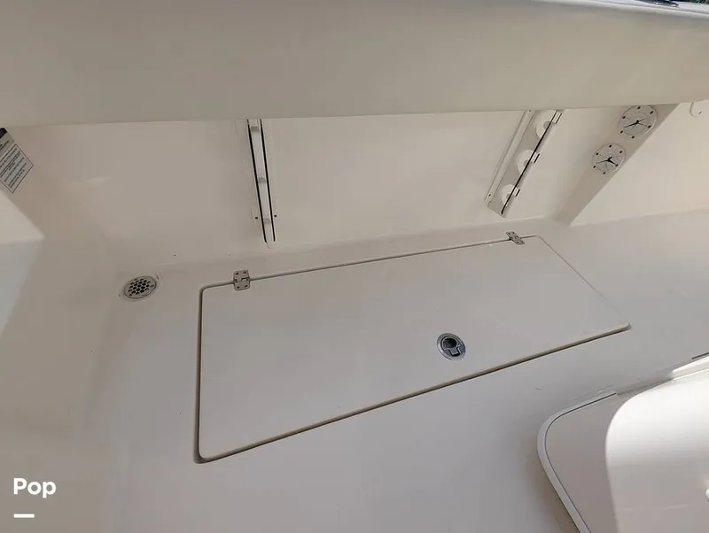 Slide: The Image of Cobia 237 2023 - 16347446