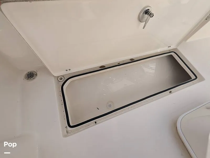 Slide: The Image of Cobia 237 2023 - 16347447