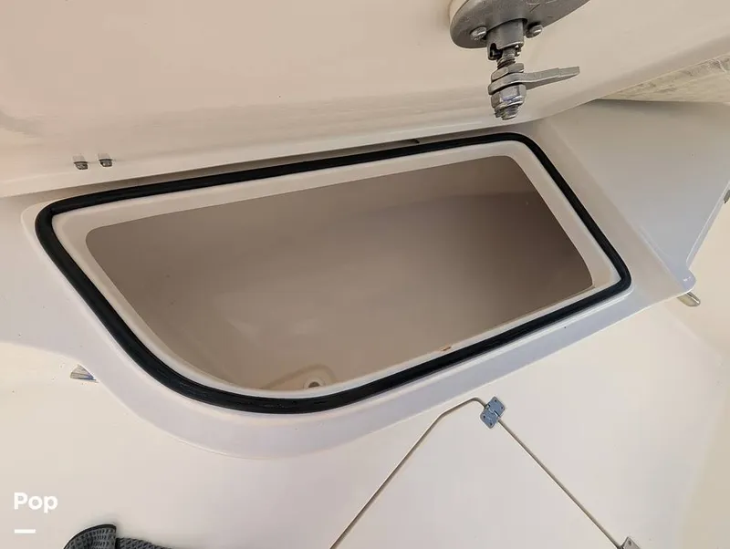 Slide: The Image of Cobia 237 2023 - 16347450