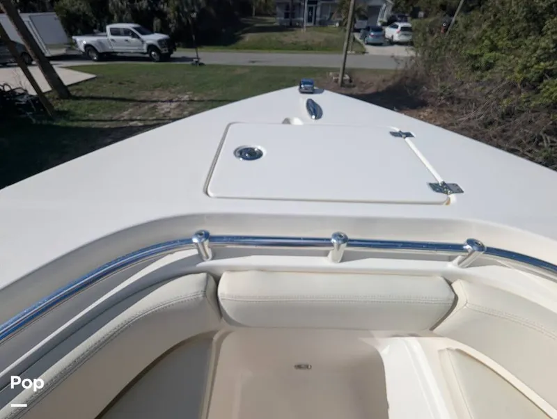 Slide: The Image of Cobia 237 2023 - 16347452