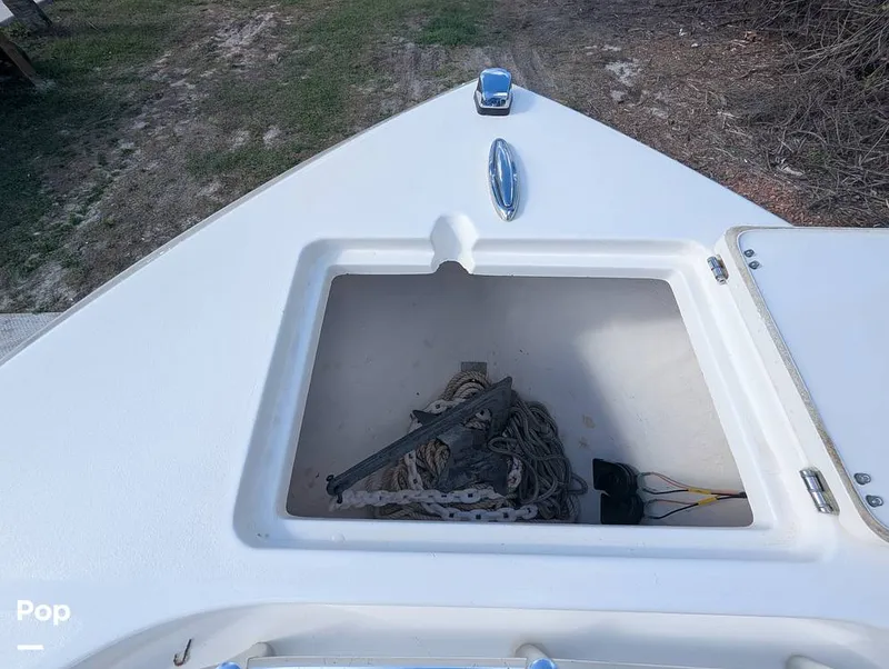 Slide: The Image of Cobia 237 2023 - 16347453