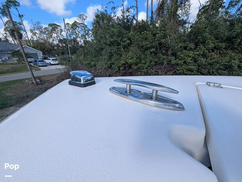 Slide: The Image of Cobia 237 2023 - 16347454