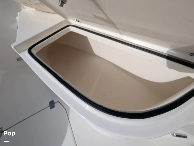 Slide: The Image of Cobia 237 2023 - 16347456