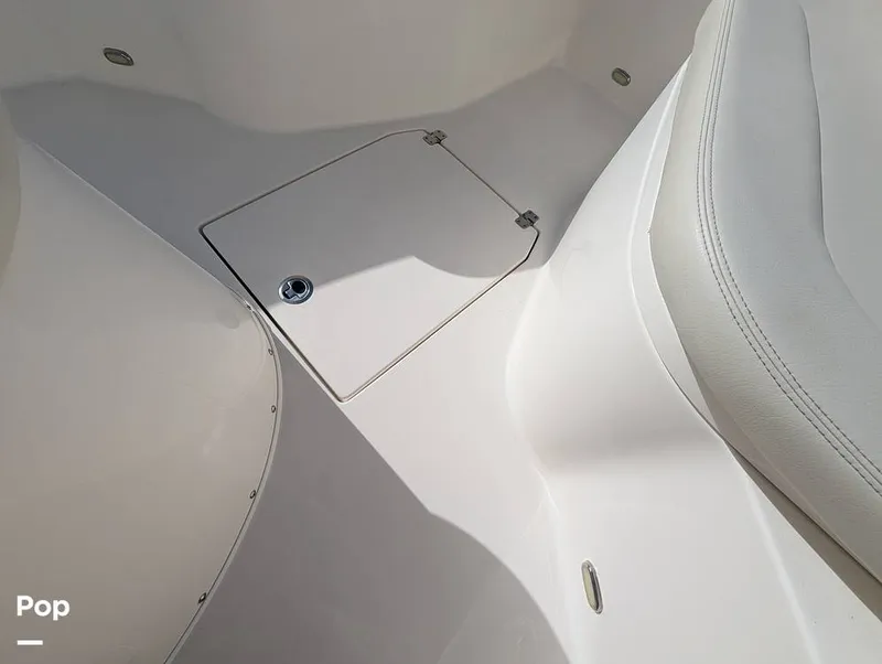 Slide: The Image of Cobia 237 2023 - 16347457