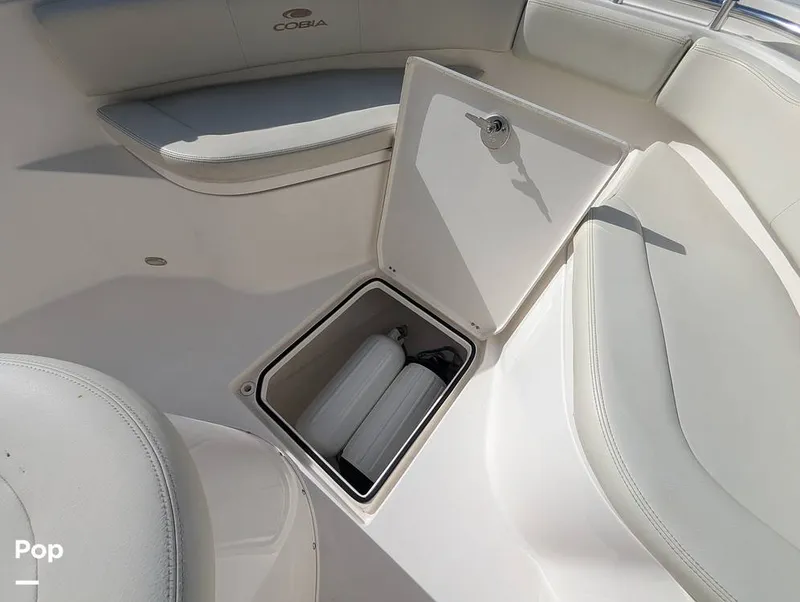 Slide: The Image of Cobia 237 2023 - 16347458