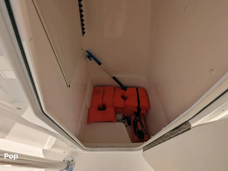 Slide: The Image of Cobia 237 2023 - 16347463