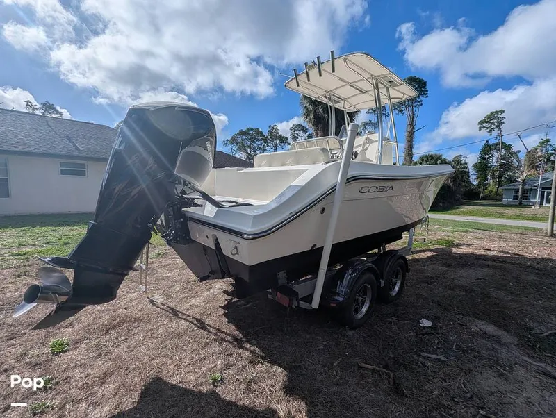 Slide: The Image of Cobia 237 2023 - 16329383