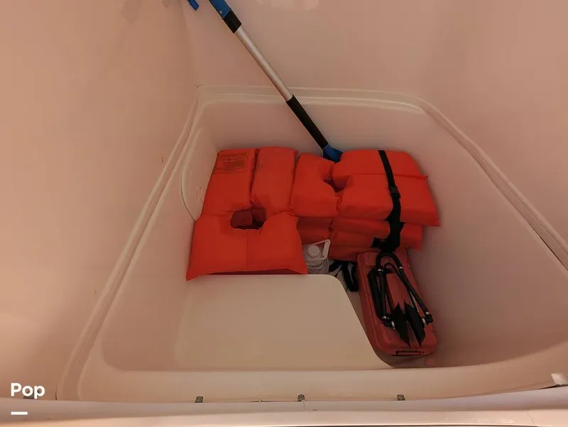 Slide: The Image of Cobia 237 2023 - 16347464