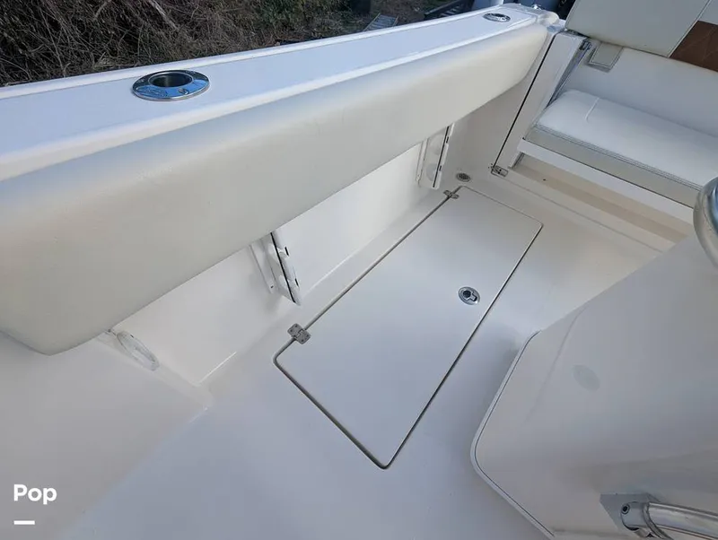 Slide: The Image of Cobia 237 2023 - 16347467