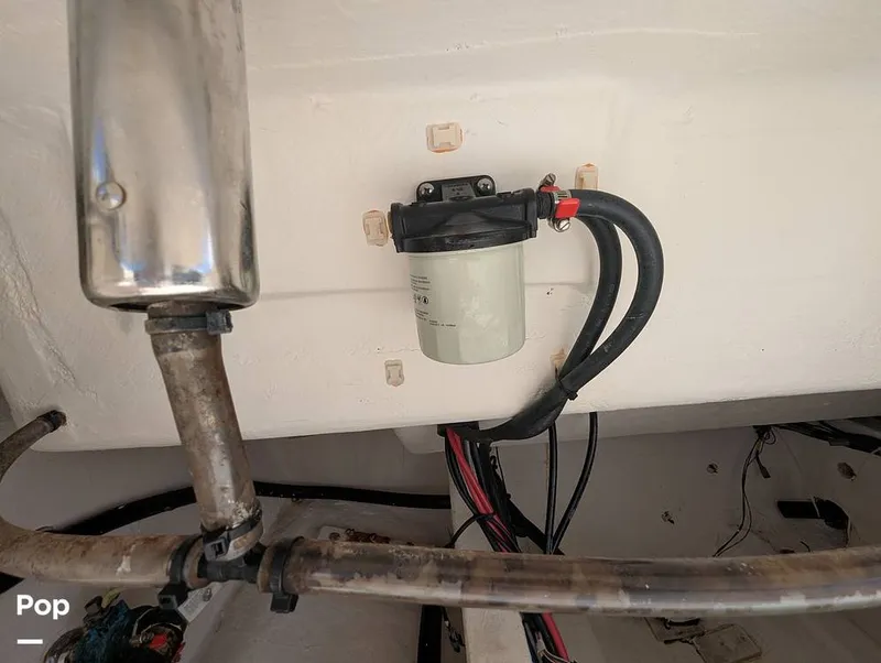 Slide: The Image of Cobia 237 2023 - 16347469