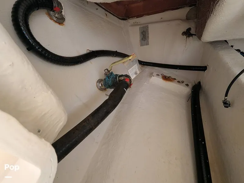 Slide: The Image of Cobia 237 2023 - 16347470