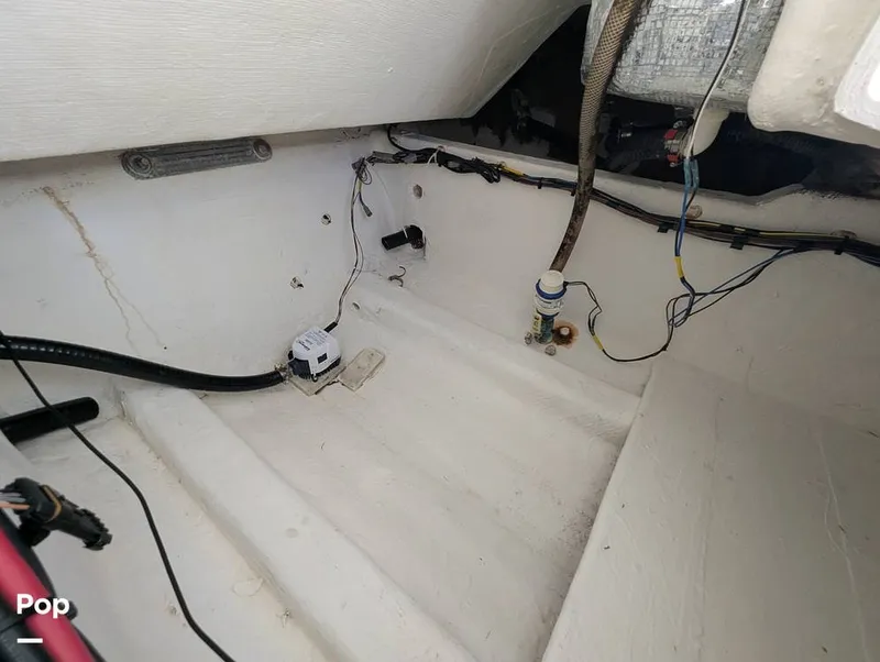 Slide: The Image of Cobia 237 2023 - 16347471