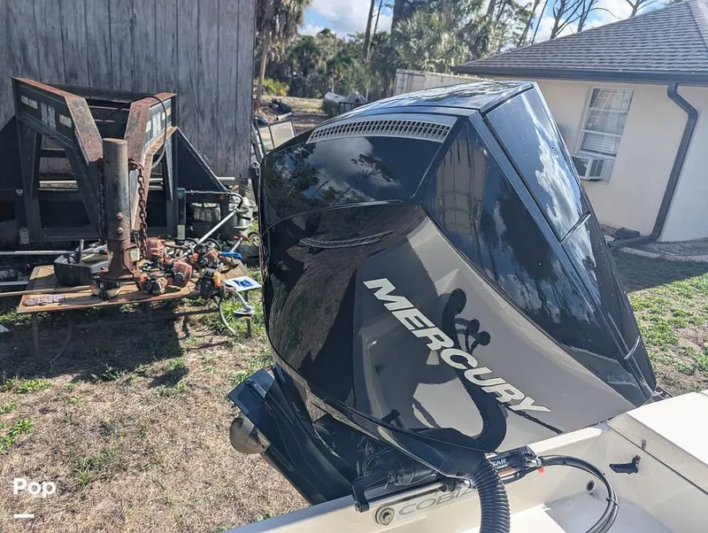 Slide: The Image of Cobia 237 2023 - 16347472