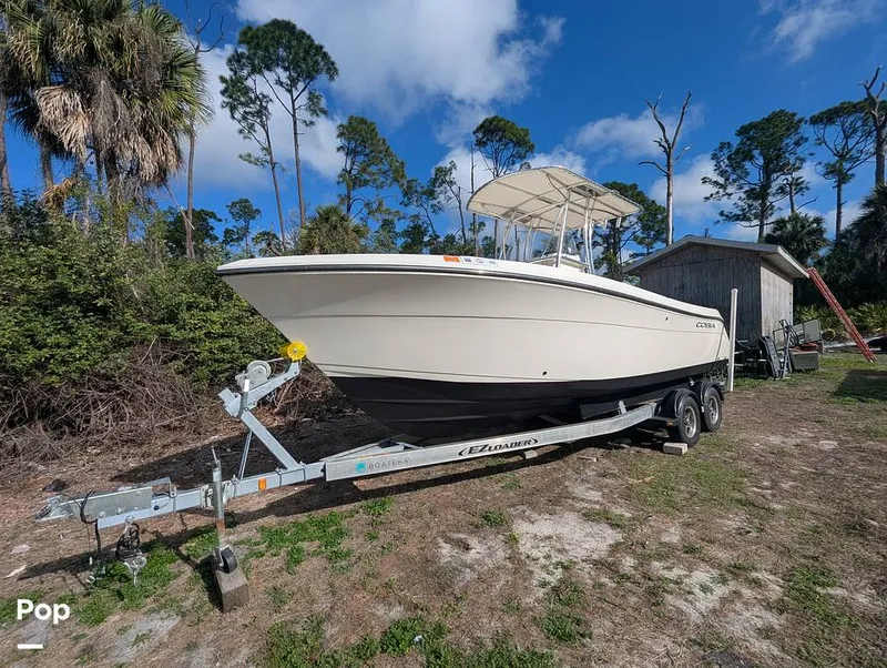 Slide: The Image of Cobia 237 2023 - 16347368