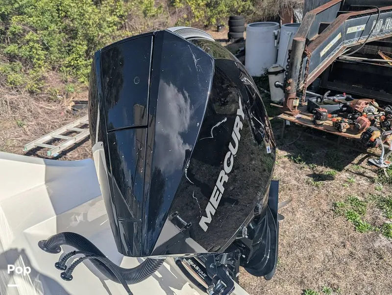 Slide: The Image of Cobia 237 2023 - 16347475