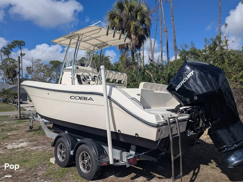 Slide: The Image of Cobia 237 2023 - 16347476