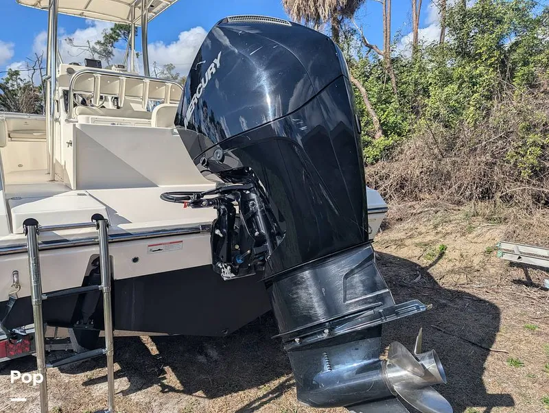 Slide: The Image of Cobia 237 2023 - 16347477