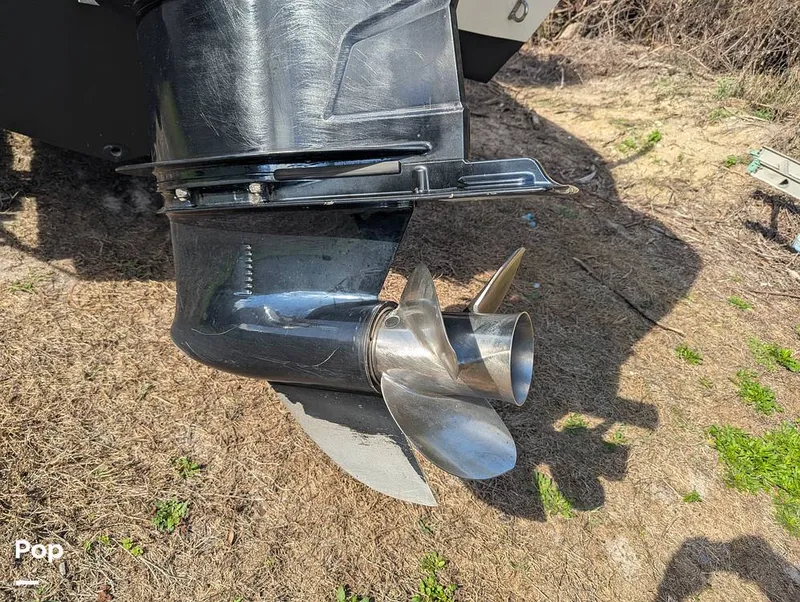 Slide: The Image of Cobia 237 2023 - 16347478