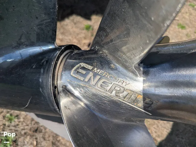 Slide: The Image of Cobia 237 2023 - 16347479