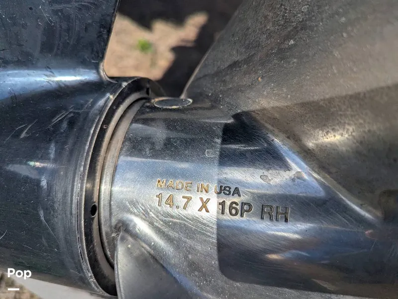 Slide: The Image of Cobia 237 2023 - 16347480