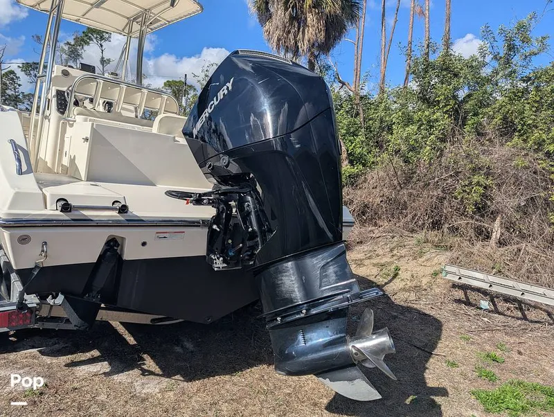 Slide: The Image of Cobia 237 2023 - 16347481