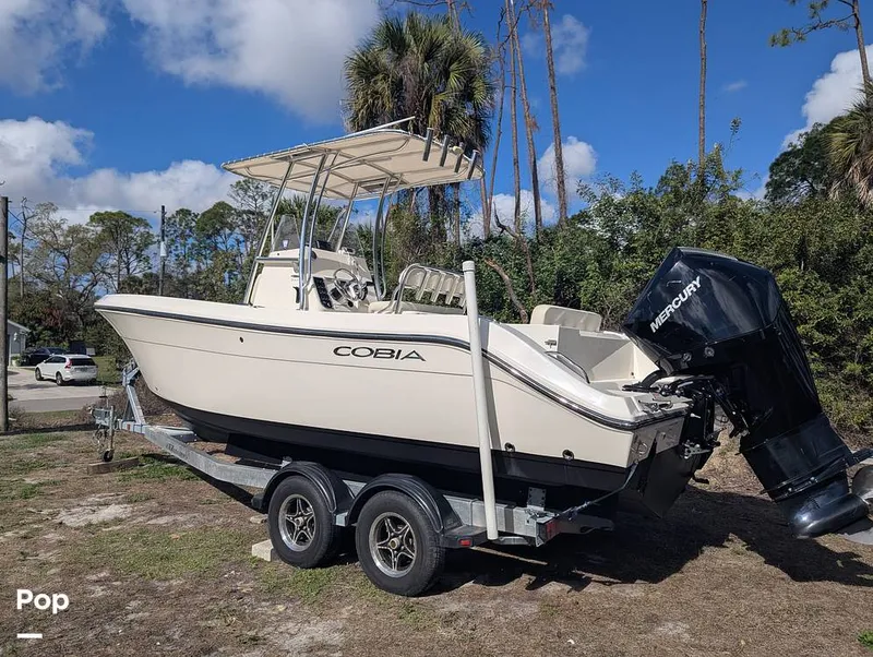 Slide: The Image of Cobia 237 2023 - 16347483