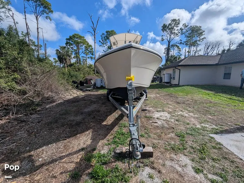 Slide: The Image of Cobia 237 2023 - 16347369