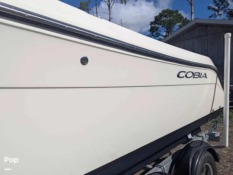 Slide: The Image of Cobia 237 2023 - 16347484