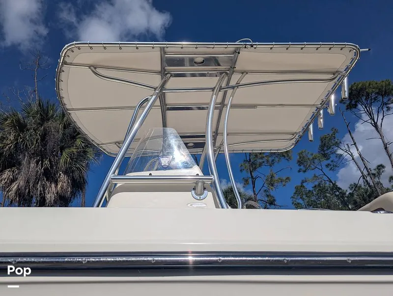 Slide: The Image of Cobia 237 2023 - 16347485