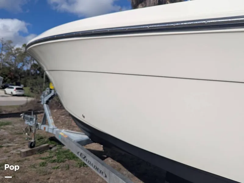 Slide: The Image of Cobia 237 2023 - 16347486