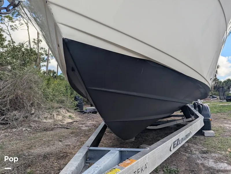 Slide: The Image of Cobia 237 2023 - 16347489