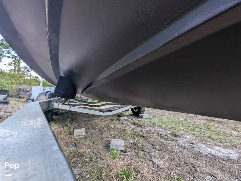 Slide: The Image of Cobia 237 2023 - 16347491