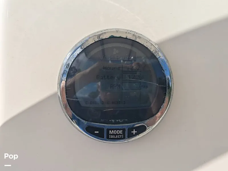 Slide: The Image of Cobia 237 2023 - 16347370