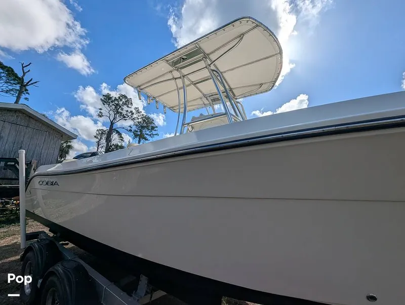 Slide: The Image of Cobia 237 2023 - 16347496