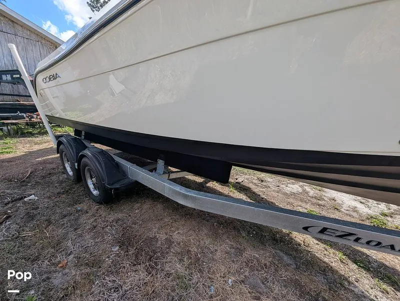 Slide: The Image of Cobia 237 2023 - 16347497