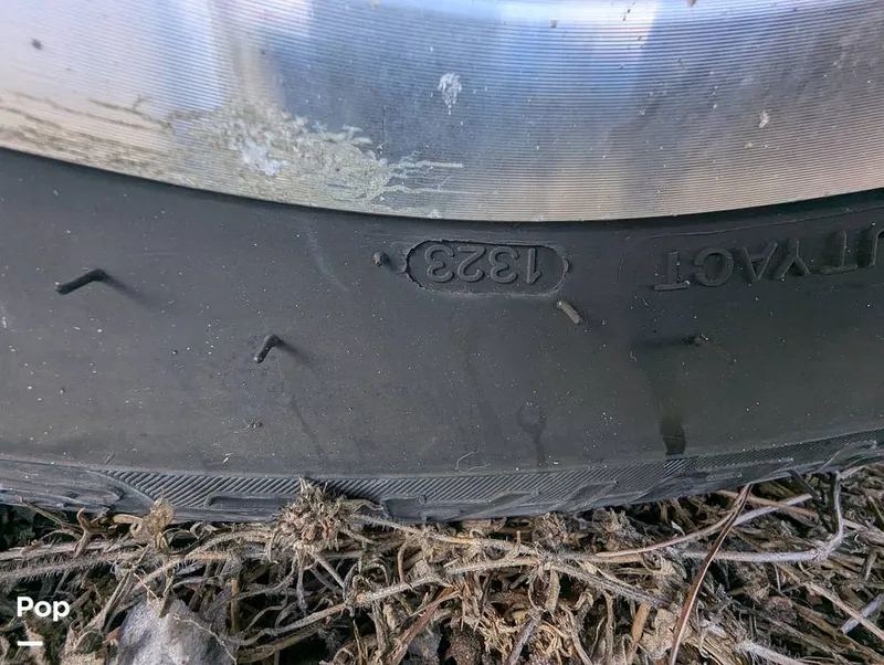 Slide: The Image of Cobia 237 2023 - 16347499