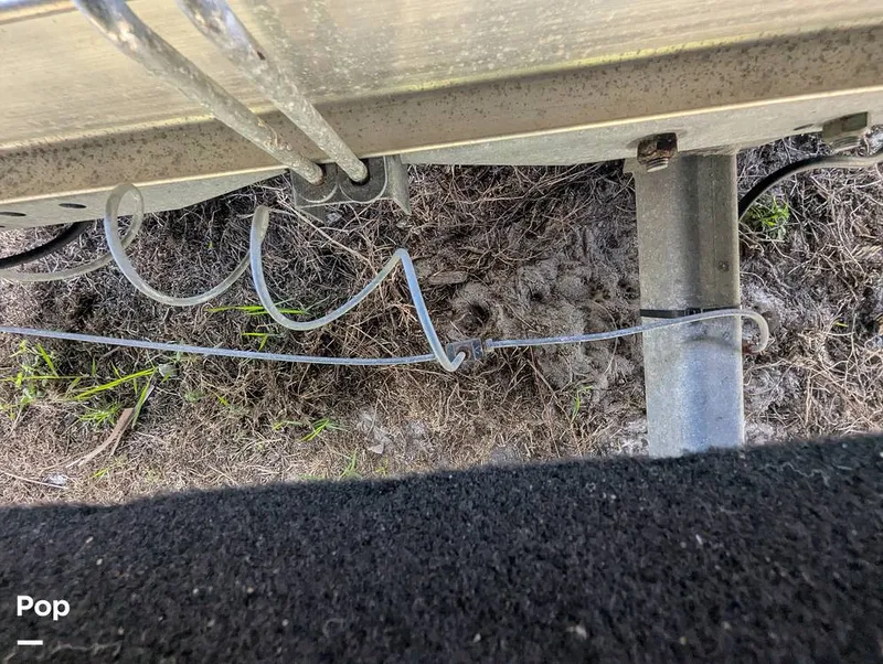 Slide: The Image of Cobia 237 2023 - 16347500