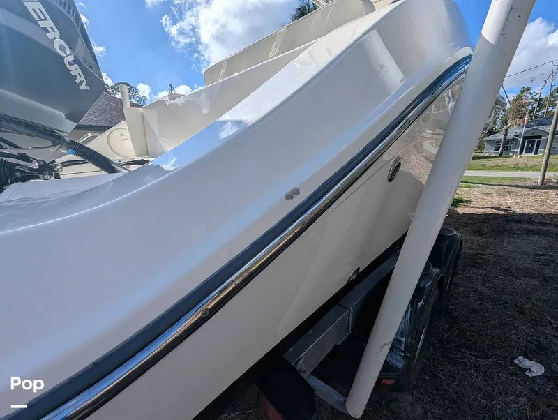 Slide: The Image of Cobia 237 2023 - 16347502