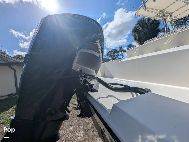 Slide: The Image of Cobia 237 2023 - 16347503