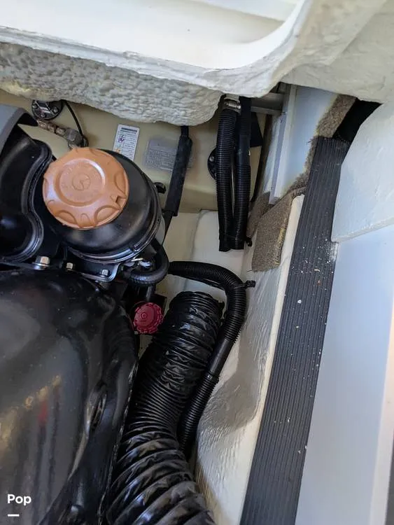 Slide: The Image of Sea Ray SPX190 2020 - 16346022