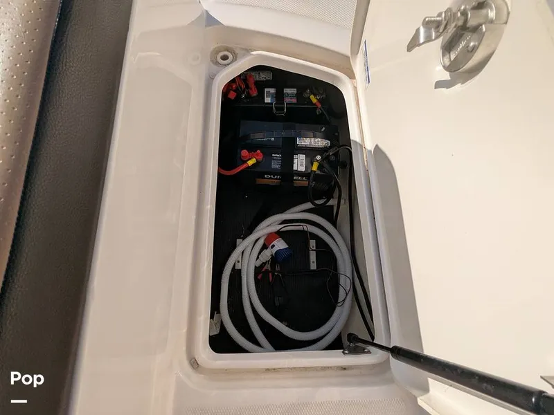 Slide: The Image of Sea Ray SPX190 2020 - 16346036