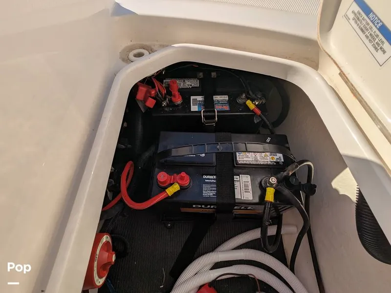 Slide: The Image of Sea Ray SPX190 2020 - 16346037