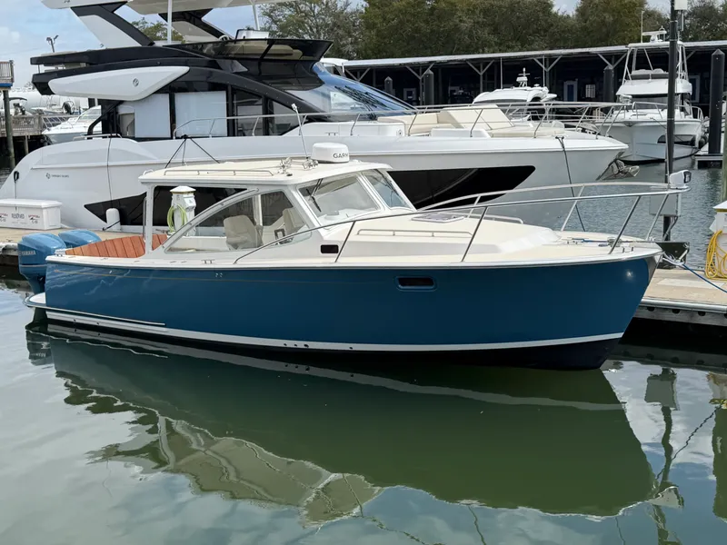 Slide: The Image of MJM 29Z OB 2008 - 0