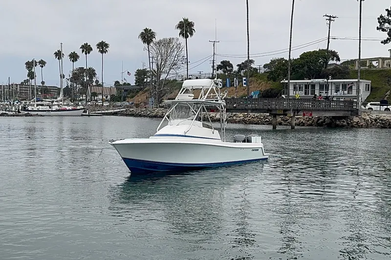 Slide: The Image of Contender 31 Fisharound 2005 - 3