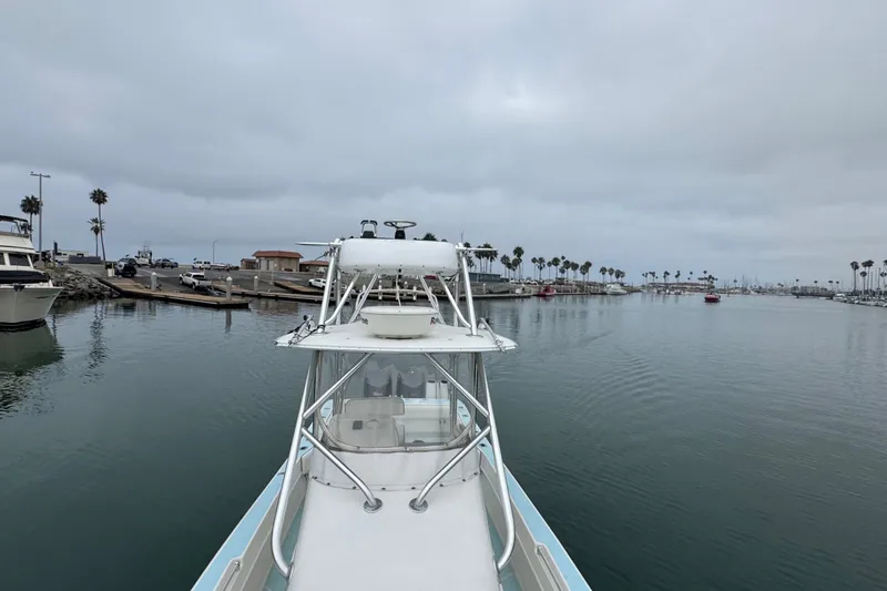 Slide: The Image of Contender 31 Fisharound 2005 - 13